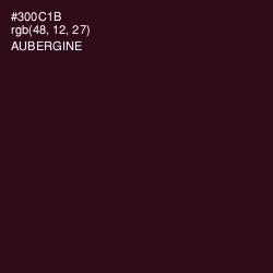 #300C1B - Aubergine Color Image