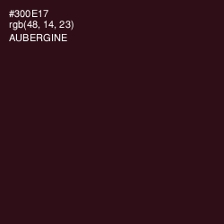 #300E17 - Aubergine Color Image