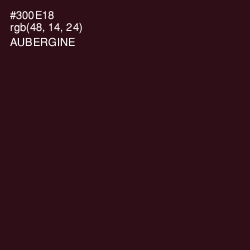 #300E18 - Aubergine Color Image