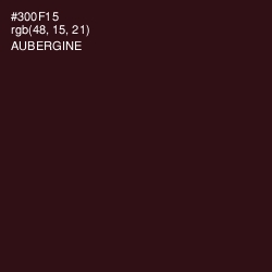 #300F15 - Aubergine Color Image