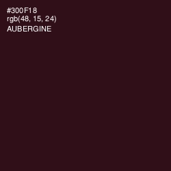 #300F18 - Aubergine Color Image