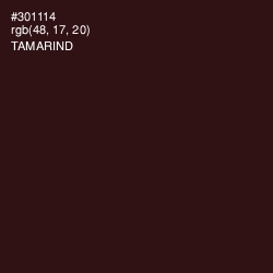 #301114 - Tamarind Color Image