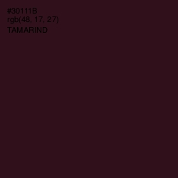 #30111B - Tamarind Color Image