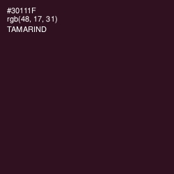 #30111F - Tamarind Color Image