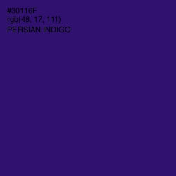 #30116F - Persian Indigo Color Image