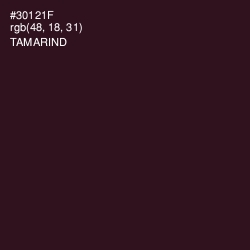 #30121F - Tamarind Color Image