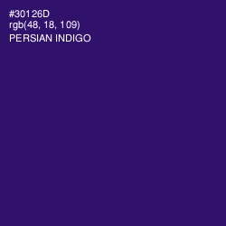 #30126D - Persian Indigo Color Image