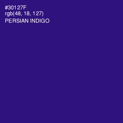 #30127F - Persian Indigo Color Image