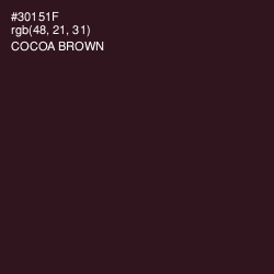 #30151F - Cocoa Brown Color Image