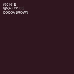 #30161E - Cocoa Brown Color Image