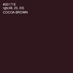 #30171E - Cocoa Brown Color Image