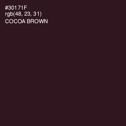#30171F - Cocoa Brown Color Image