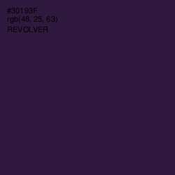 #30193F - Revolver Color Image