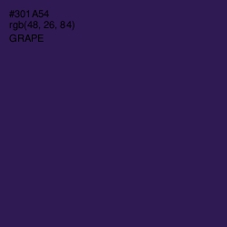 #301A54 - Grape Color Image