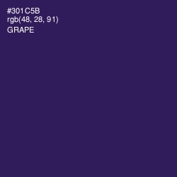 #301C5B - Grape Color Image