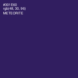 #301E60 - Meteorite Color Image