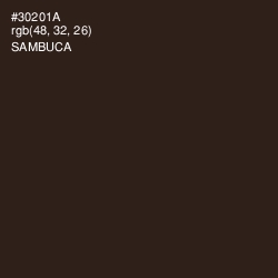 #30201A - Sambuca Color Image
