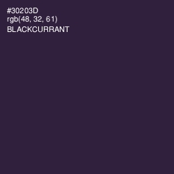 #30203D - Blackcurrant Color Image