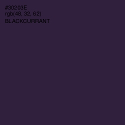 #30203E - Blackcurrant Color Image