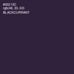 #30213C - Blackcurrant Color Image