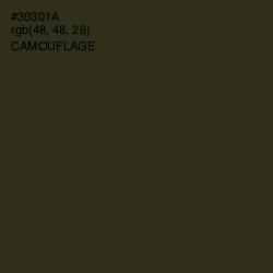 #30301A - Camouflage Color Image