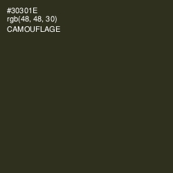 #30301E - Camouflage Color Image