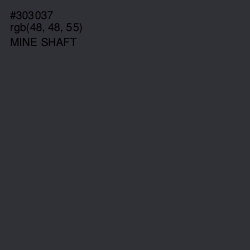 #303037 - Mine Shaft Color Image