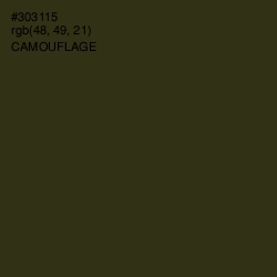 #303115 - Camouflage Color Image