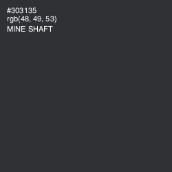 #303135 - Mine Shaft Color Image