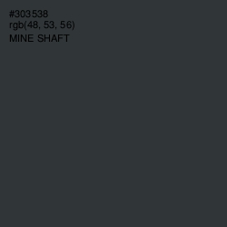 #303538 - Mine Shaft Color Image