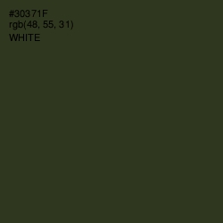 #30371F - Camouflage Color Image