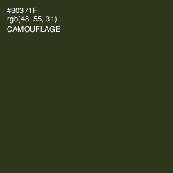 #30371F - Camouflage Color Image