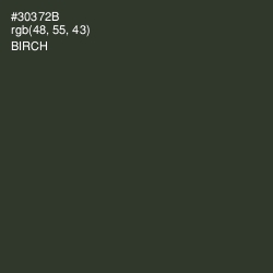 #30372B - Birch Color Image