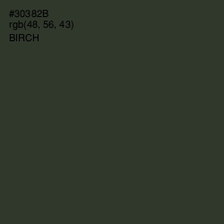 #30382B - Birch Color Image