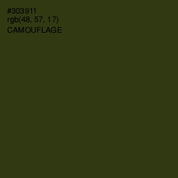 #303911 - Camouflage Color Image