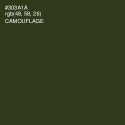 #303A1A - Camouflage Color Image