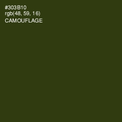 #303B10 - Camouflage Color Image