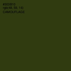 #303B10 - Camouflage Color Image