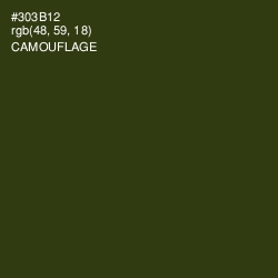 #303B12 - Camouflage Color Image