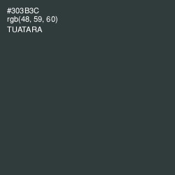 #303B3C - Tuatara Color Image