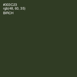 #303C23 - Birch Color Image
