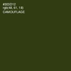 #303D12 - Camouflage Color Image