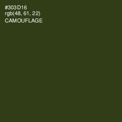 #303D16 - Camouflage Color Image