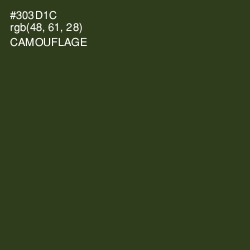 #303D1C - Camouflage Color Image