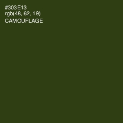 #303E13 - Camouflage Color Image