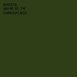 #303E18 - Camouflage Color Image