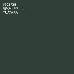 #303F38 - Tuatara Color Image