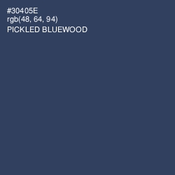 #30405E - Pickled Bluewood Color Image