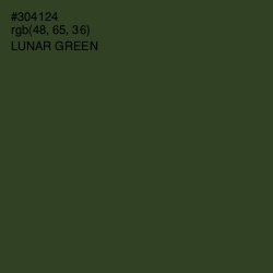 #304124 - Lunar Green Color Image