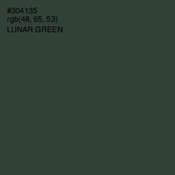 #304135 - Lunar Green Color Image